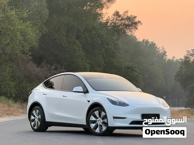 TESLA MODEL Y ( LONG RANGE ALL WHEEL DRIVE ) 2022 GCC