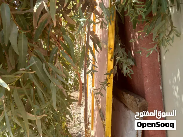 202635 رقم الإعلان 34