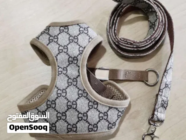 جديد اخر قطعه
