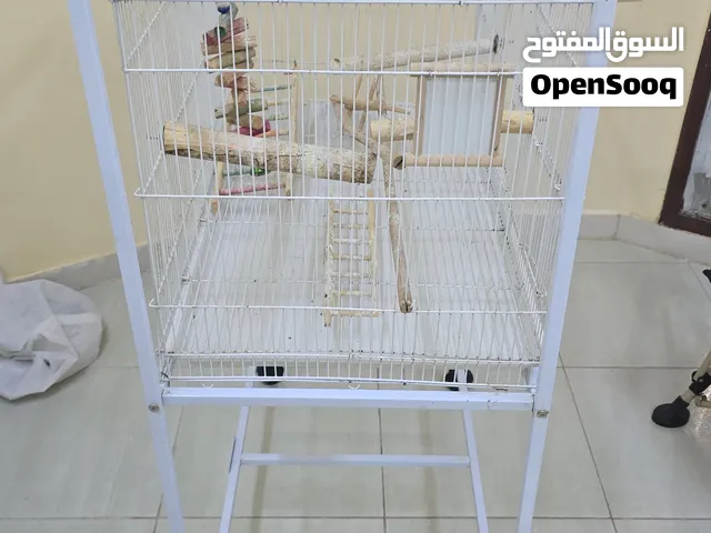 Birds cage in Mint Condition