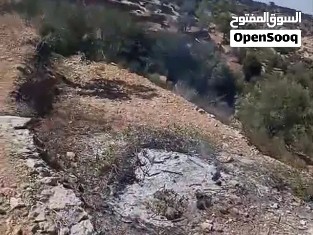 Mixed Use Land for Sale in Ramallah and Al-Bireh Beit Rima