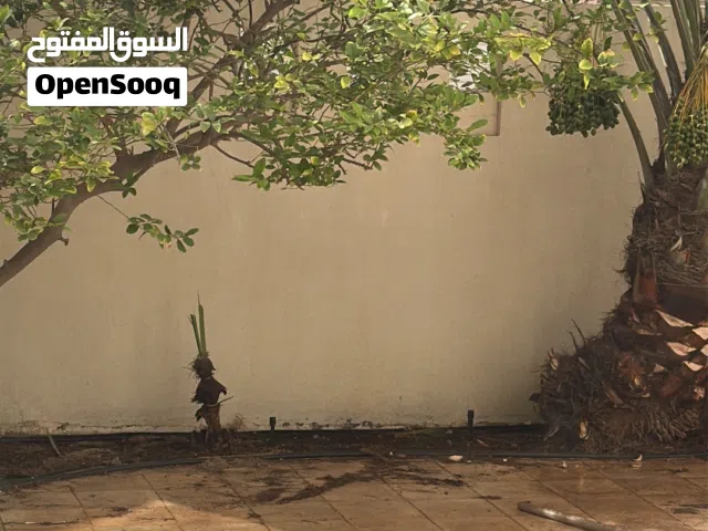 فسيلة خنيزي