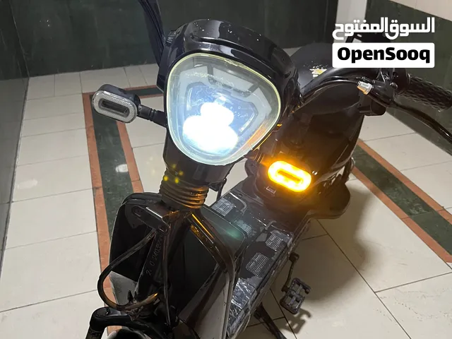 Thunderbolt Electric Bike 400W Motor