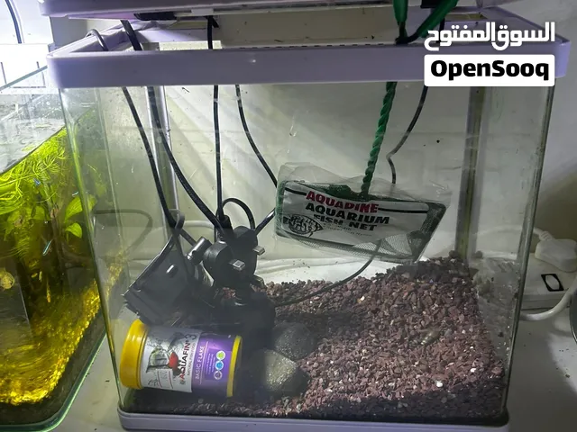 Aquarium setup