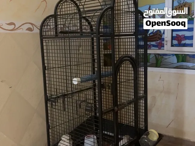 قفص طيور للبيع