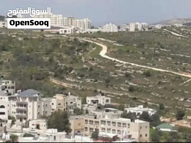 ارض للبيع في ابوقش بدون وسطاء