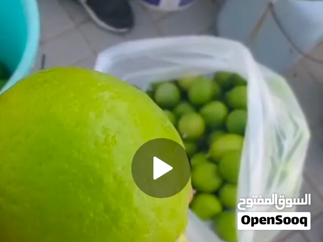 اشجار الليمون العمر 4سنوات مثمره