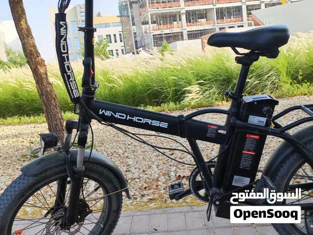 Windhorse w4a electric bike (ebike) bigger than W2A Cash only - Negotiable price Excellent condition