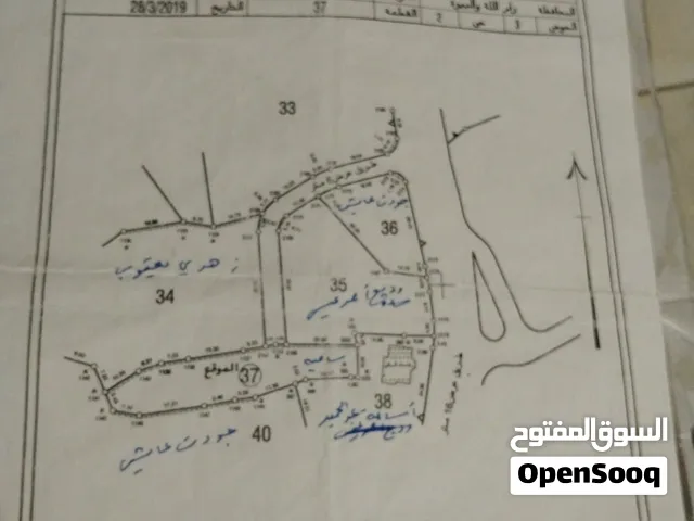 قطع اراضي للبيع من المالك كفرعين و ضاحية التربية (رام الله)