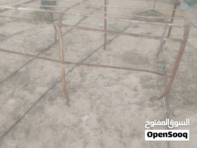 لاركي بيجو 504 للبيع
