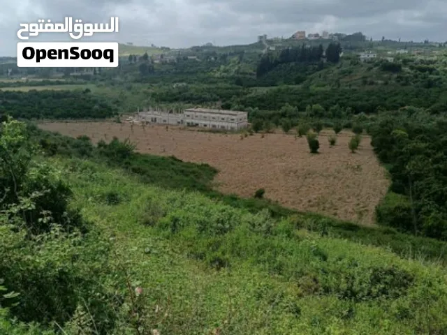 ارض زراعية مساحة ضخمة لمشاريع استثمارية كبيرة