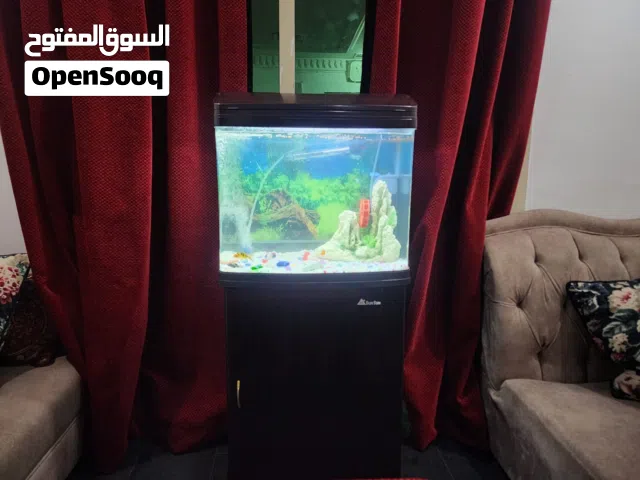 Aquarium with all accessories
