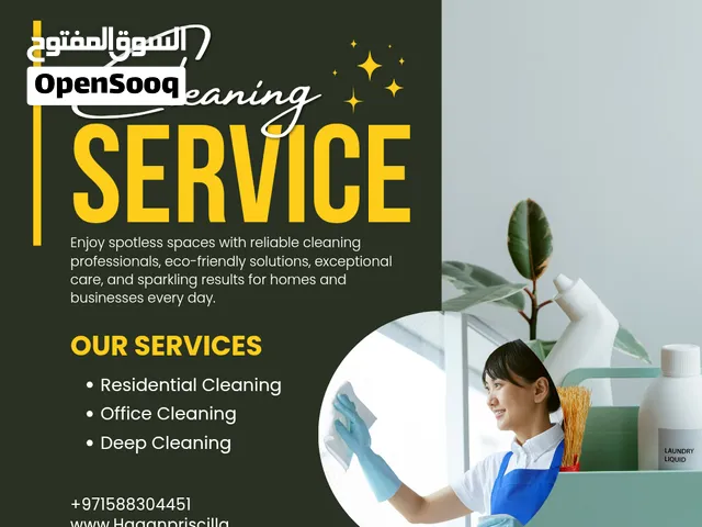 Apartment and office cleaning services