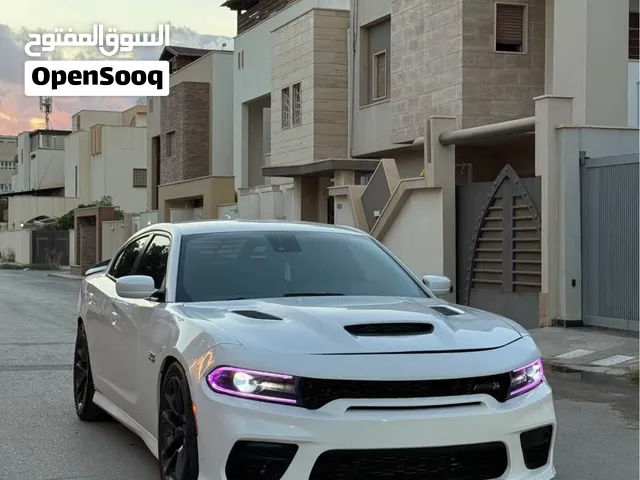 دودش لي البيع الله يبرك