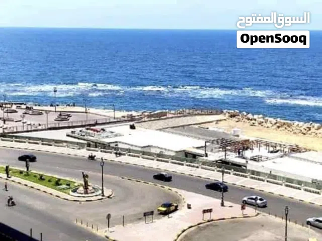 ميامي آول عقار متفرع من البحر مكيفه من المالك جميع الكماليات وسط جميع الخدمات. فيو مفتوح للبحر