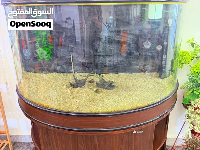 حوض سمك للبيع
