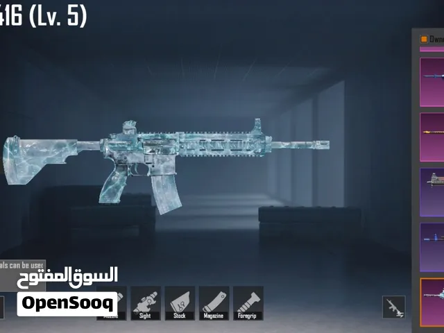 Pubg Accounts and Characters for Sale in Northern Governorate
