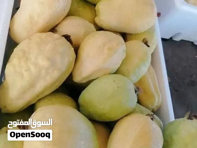 موجود كميات سعر الجمله