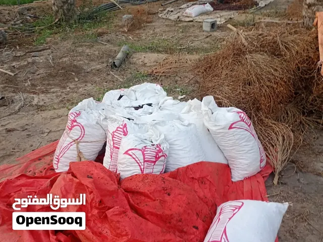 نفيعه حيوانات