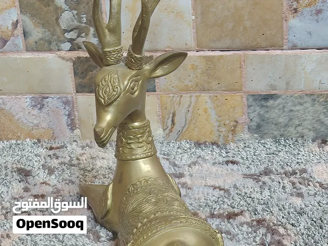 مناظر خيول عضم#نحاس#copper#