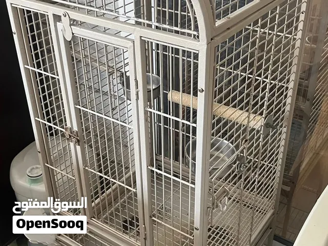 قفص طيور ممتاز ب 30 دينار و قابل