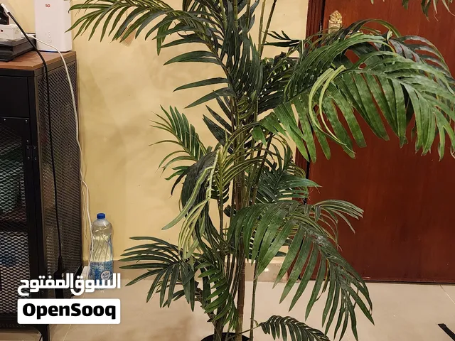 Artificial Palm Tree – Full height 1 meter (including pot)