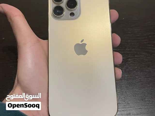 Used Gold iPhone 13 Pro Max with 256GB Storage and Charger - 2-3 Years Old