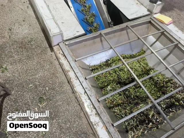 زيت زيتون اصلي