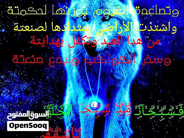الأن يتوفر لدينا جميع انواع القصائد للبيع الماباشر