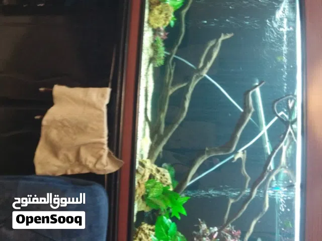 اقراء الوصف قبل كلشيء حوض نوع كامري نظيف جدااا