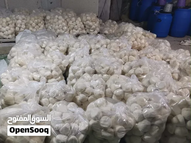 جميد غنم بلدي