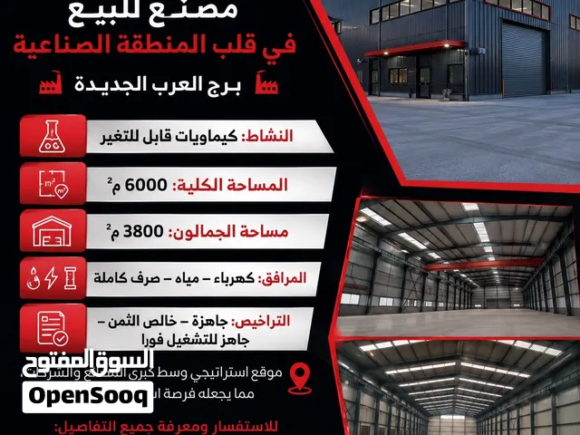 مصنع للبيع نشاط كيماويات 6000متر برج العرب الجديدة