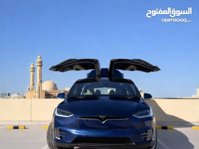 Tesla X Model 2019