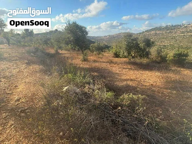ارض للبيع في برهام -بيرزيت بسعر لقطة بدون وسيط مع المالك مباشرة