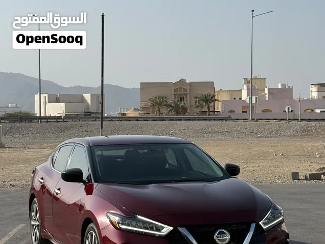 نسيان مكسيما 2019 للبيع