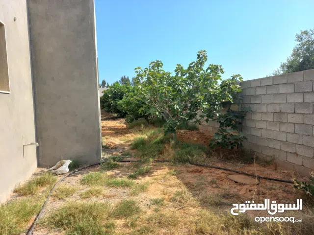 قطعة أرض مسورة بها بئر وفسكية والكهرباء واصلة وبها منزل لم يكتمل منطقة غنيمة طريق الاربعين البحر
