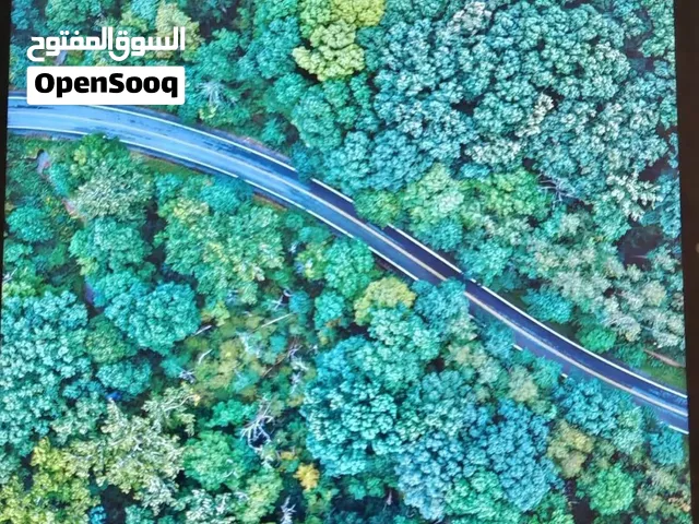 شاومي باد 6