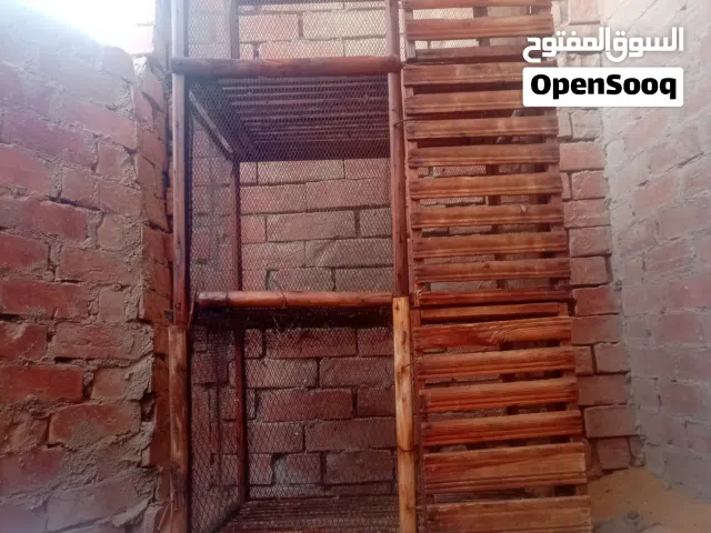 قفص حمام كبير 3 عيون + طواجن