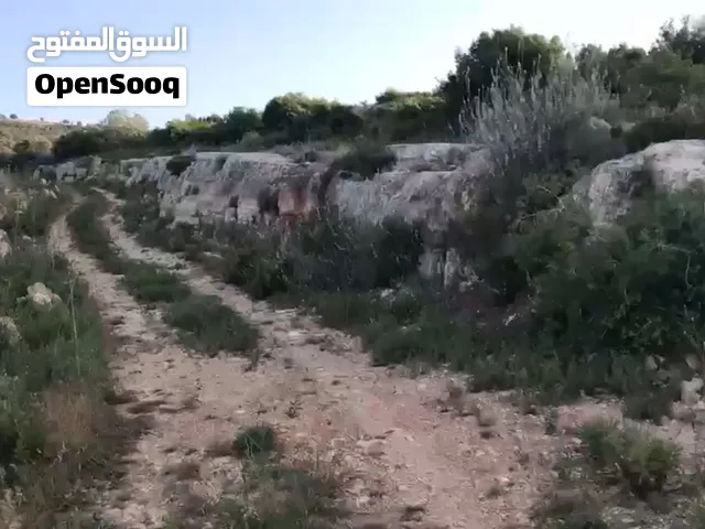 Residential Land for Sale in Nablus Other