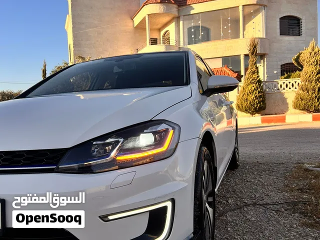Egolf 2019
