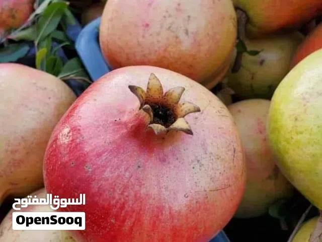 مؤسسة هاني المهلاء لتصدير جميع انواع الخضروات والفواكه