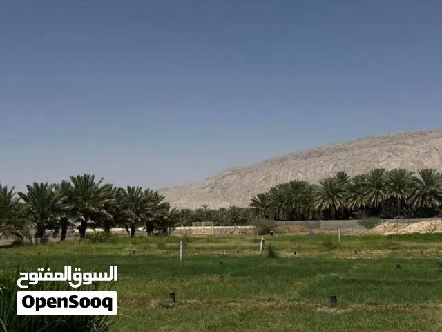 مزرعة للبيع في موقع مميز