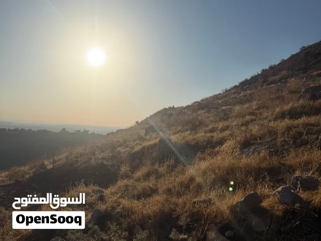 Mixed Use Land for Sale in Hebron Halhul