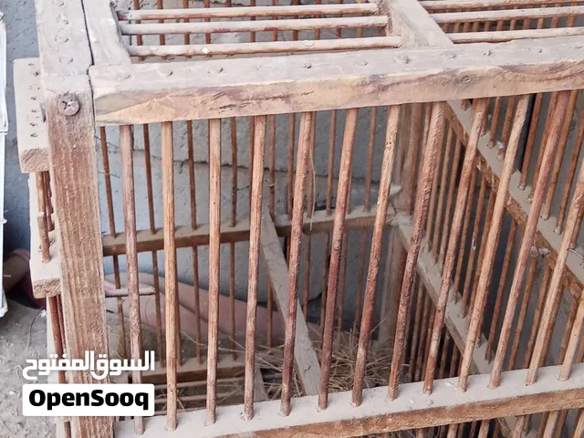 ثلاث اقفاص مختلفة للبلابل والطيور. بحالة جيدة كما موضح بالصور.