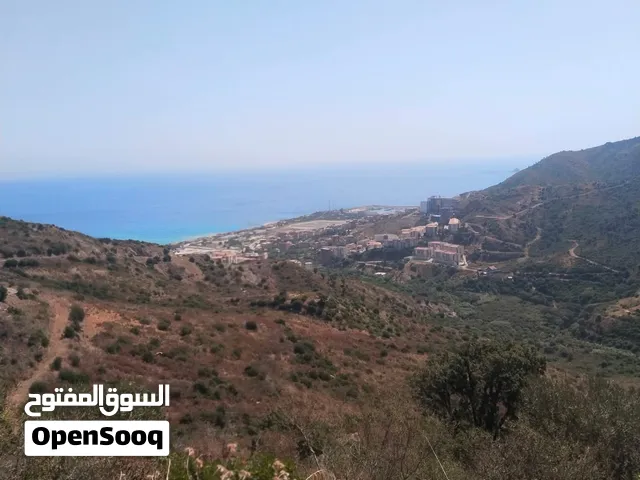 ولاية بجاية