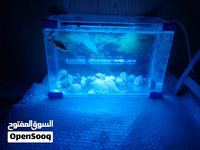 حوضين للبيع العدد 2 كاملات اقره الوصف