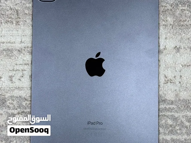 ipad pro m4 256gb