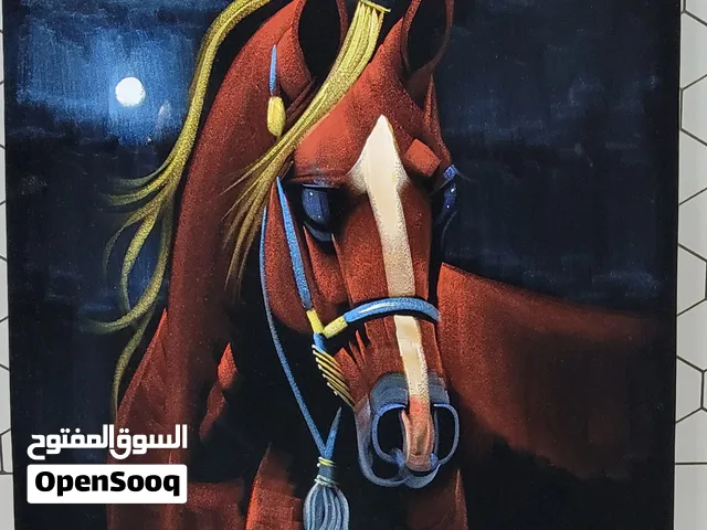صورة لحصان