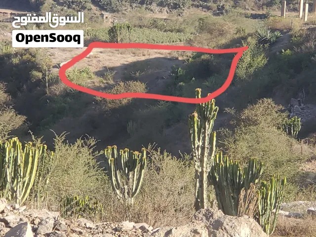 Residential Land for Sale in Ibb AlSsayiluh