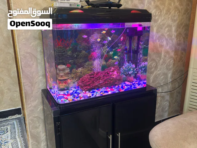 حوض قياس 60 سم للبيع
